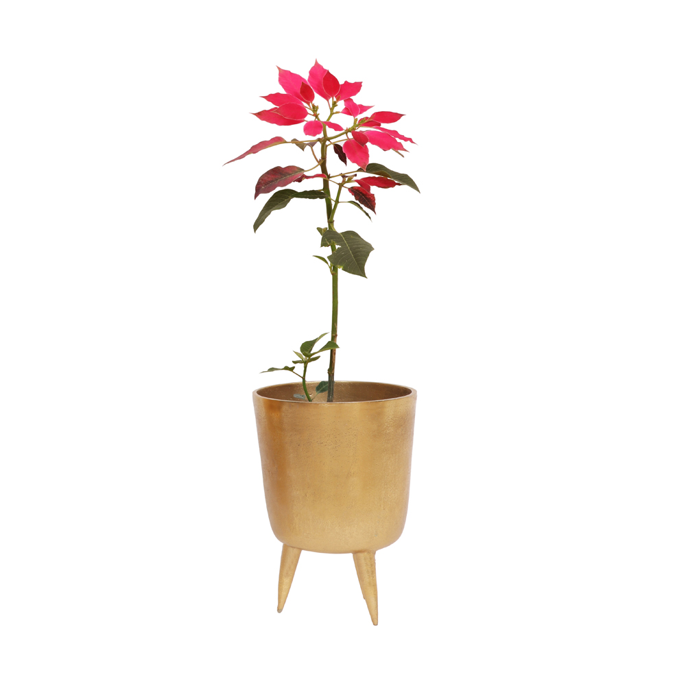 ALLU GOLDEN CLASSIC PLANTER